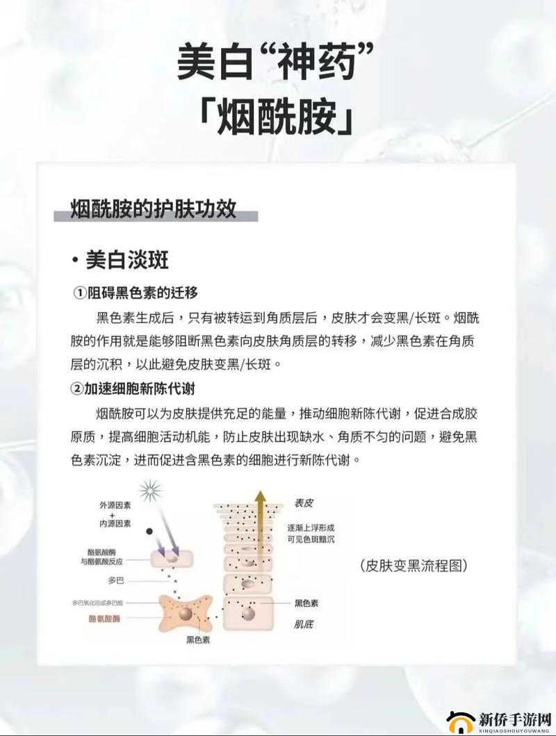 烟酰胺精华液怎么用才正确？全面解析烟酰胺精华液的正确使用方法