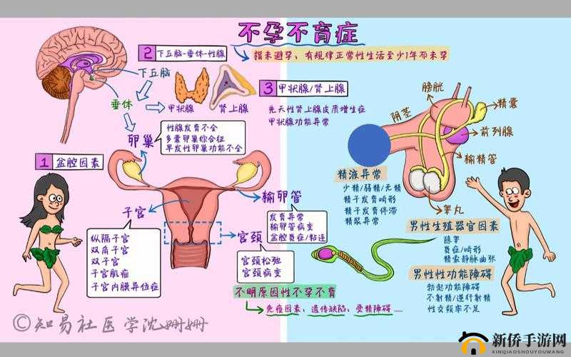 女性医学标本研究：其在不同疾病诊断中的应用与重要性