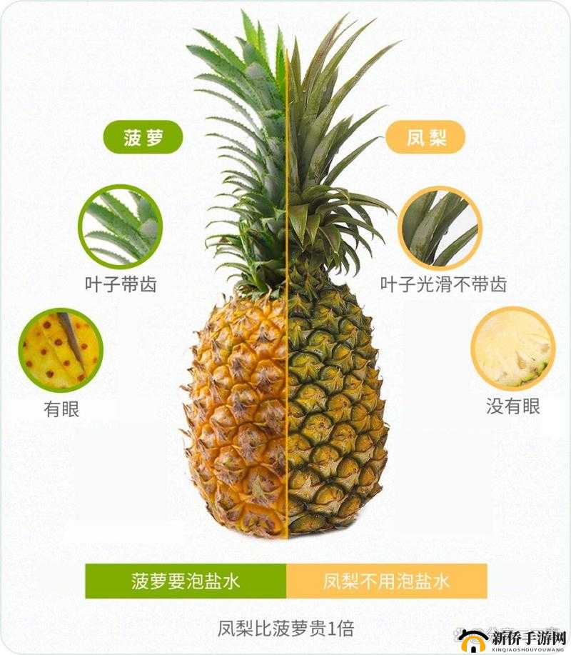 菠萝是一种热带水果，很多人都喜欢吃你知道菠萝是怎么长出来的吗？