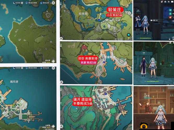 原神高处枯花堆任务怎么完成？位置标点图全攻略大揭秘！