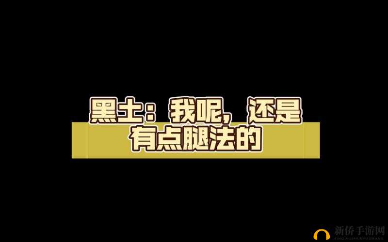 黑土ちゃんが脚法视频：揭秘高效腿部训练技巧，提升运动表现的全方位指南
