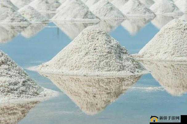 盐母 1 到盐母 6：探索未知的世界