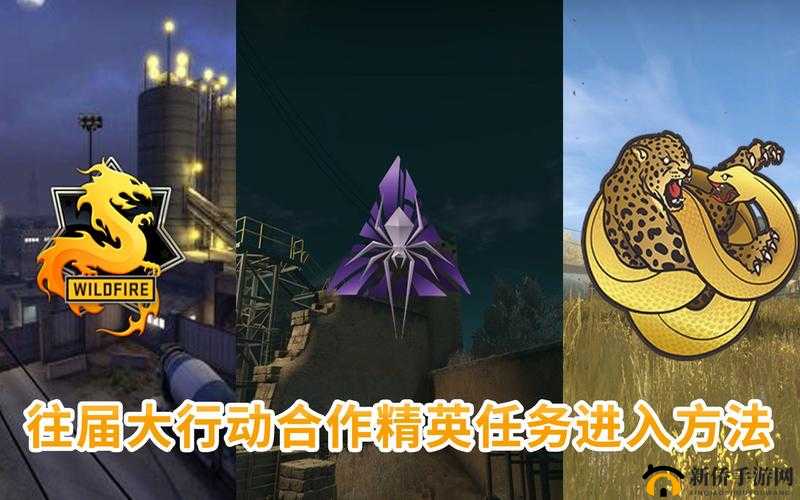 CSGO合作精英任务如何兴风作浪？全面攻略图文解析带你揭秘！