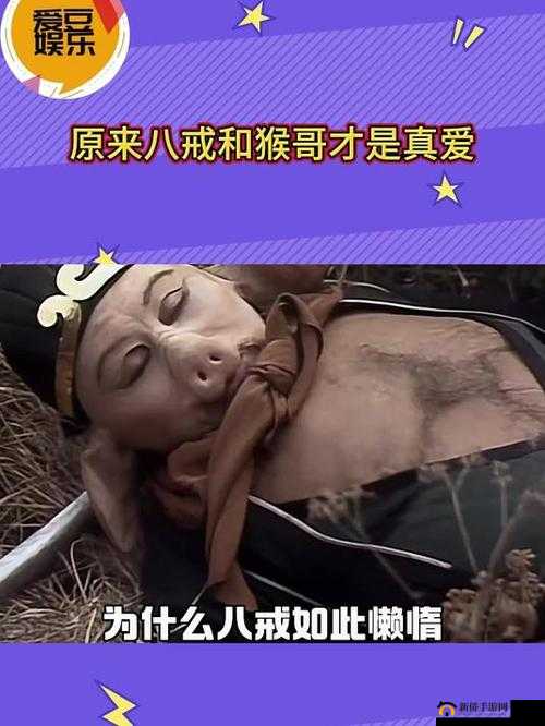 八戒八戒网剧在哪能在线观看？5 集精彩内容等你来想在线观看八戒八戒网剧第 5 集？这里或许能满足你八戒八戒网剧第 5 集在线观看，何处可寻？答案在这里