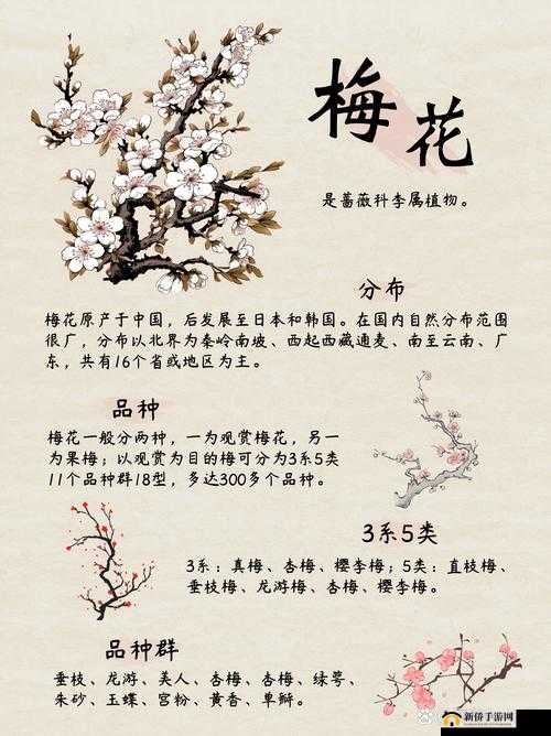 梅花十三光着的祥子：揭秘传统与现代交织的艺术魅力与文化内涵