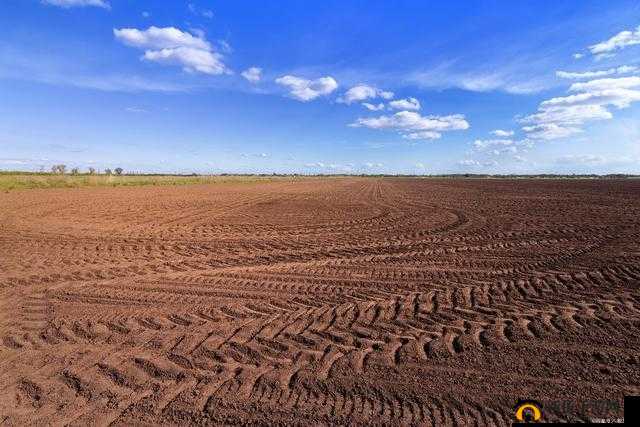 开退妈妈肥沃的土地是什么意思？为何它如此重要？深度解析其内涵