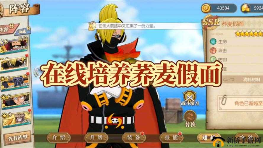 航海王燃烧意志，抗敌之阵来袭，你的全新战斗伙伴究竟是谁？