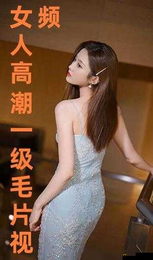 特级毛片A级毛片免费播放100全解析：高清画质与精彩内容一网打尽