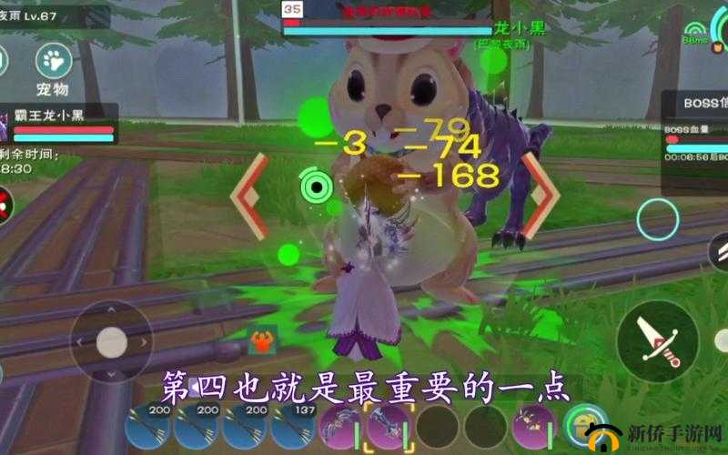 创造与魔法中的松鼠宠物技能究竟如何？炸弹松鼠是否值得玩家倾心培养？