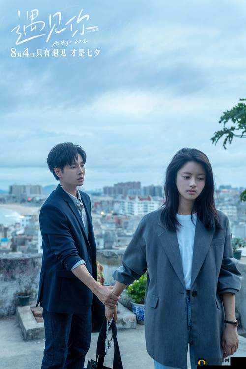 最美情侣免费视频大全，你一定不能错过的爱情故事