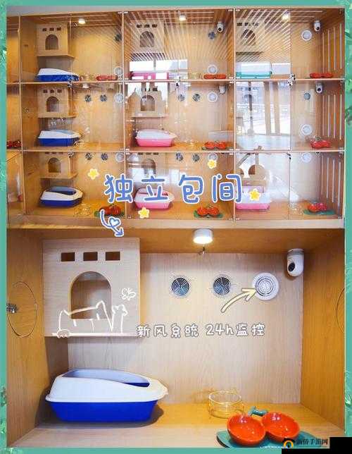 猫咪公寓如何实现客房满意度100%？揭秘房客极致满意布置秘籍