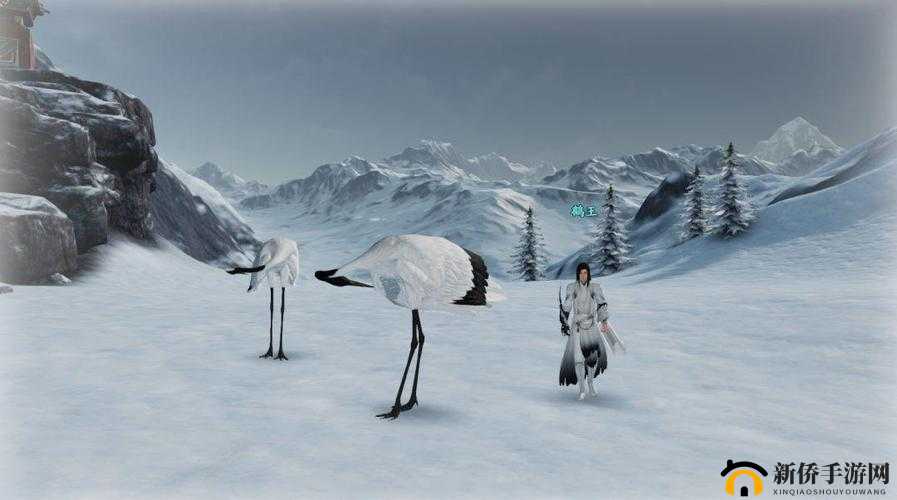 天刀手游鹤唳秦川奇遇如何完美通关？养鹤之人选择攻略揭秘