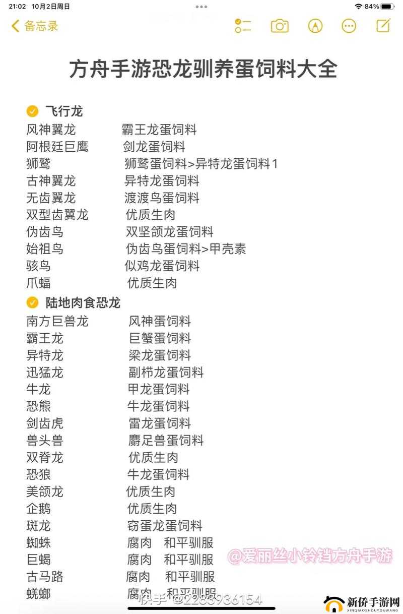 飞龙驯服代码大全(最新版本)：全面解析与实战技巧，助你轻松驾驭神秘生物