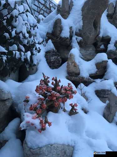 她开始慢慢迎合徐平雪，这个举动到底意味着什么？