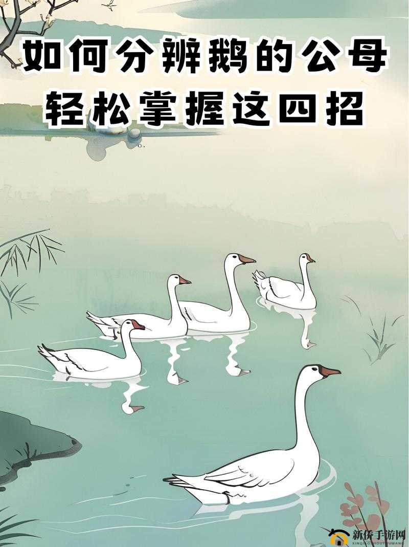 微信长鹅奔月游戏藏在哪？揭秘进入游戏的神秘方法与实用技巧