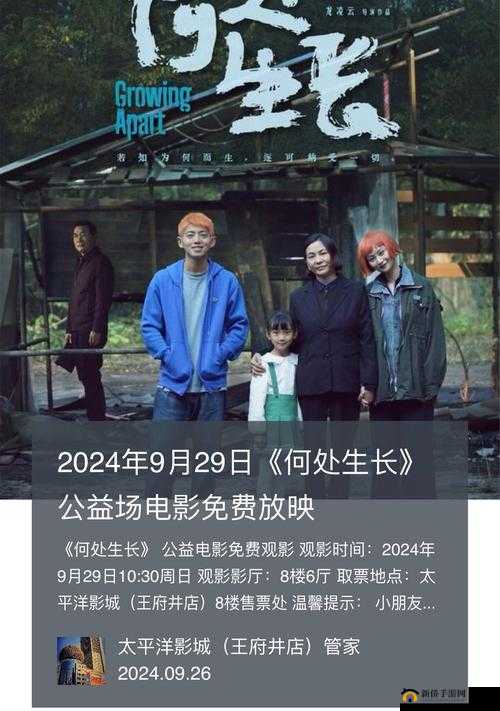 成都电影在线观看大全：最新热门电影免费观看，高清流畅体验，尽享影院级视听盛宴