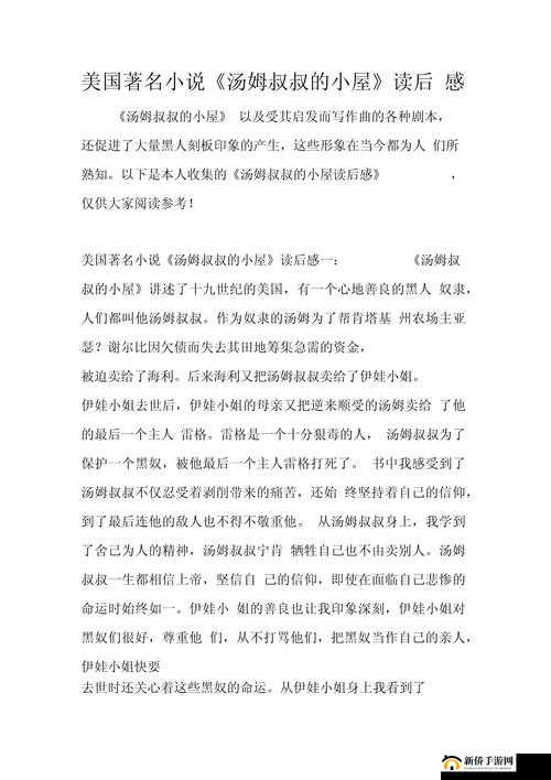 如何评价小说汤姆叔叔的小屋？