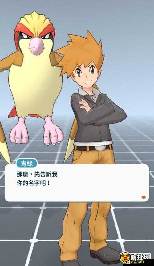 宝可梦大师VH难度大修练如何突破？全面通关攻略揭秘