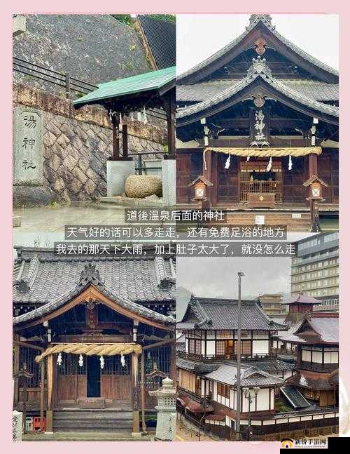 龙族幻想中爱媛县拍照点究竟隐藏在哪里？异闻风景点全面揭秘！