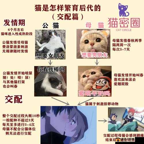 一起来捉妖专属猫繁育时长究竟由何决定？恢复时间判断有何依据？