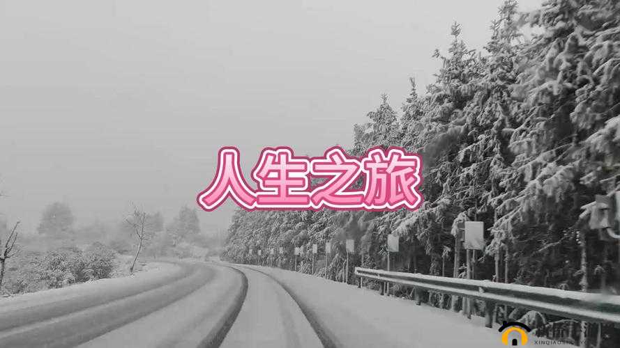 妻友 love 相伴，开启美好人生之旅