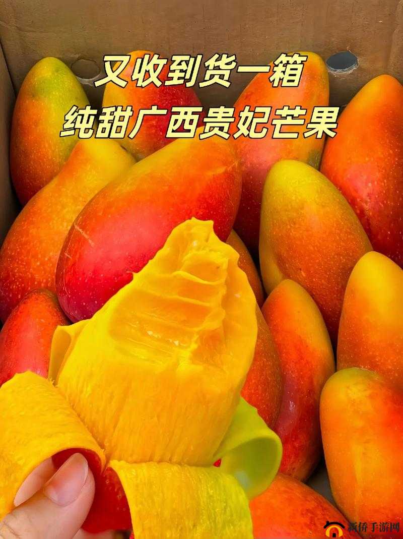 1 区 1 区 3 区 4 区产品芒果在线：品质优良新鲜美味的芒果等您品尝