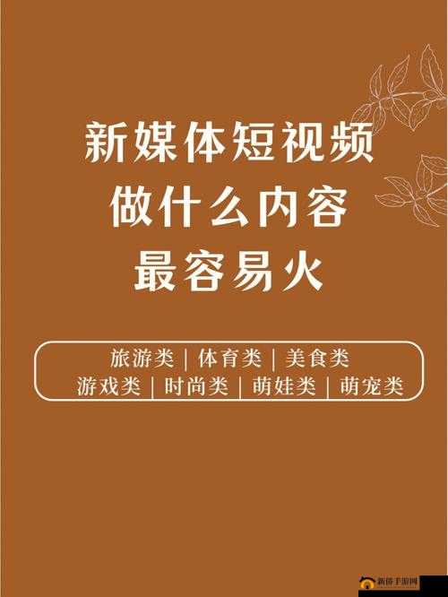 100 种禁用的视频软件短视频之全面解析与深入探讨