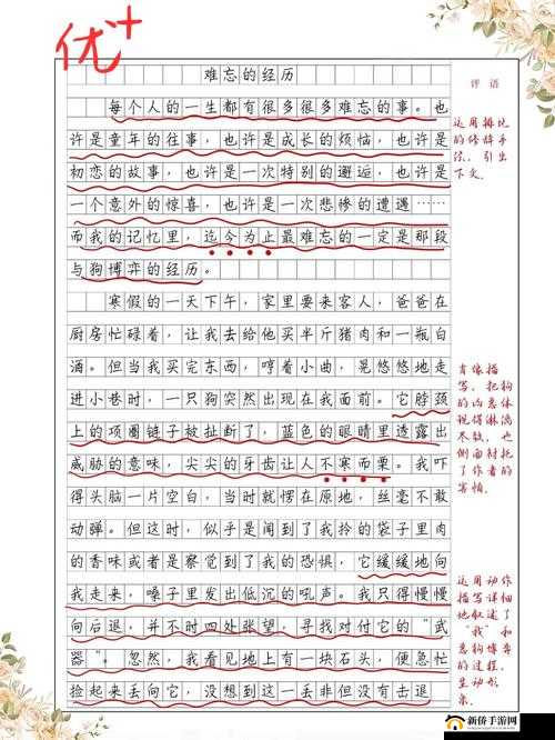 关于 poein1817 的独特故事与经历探讨