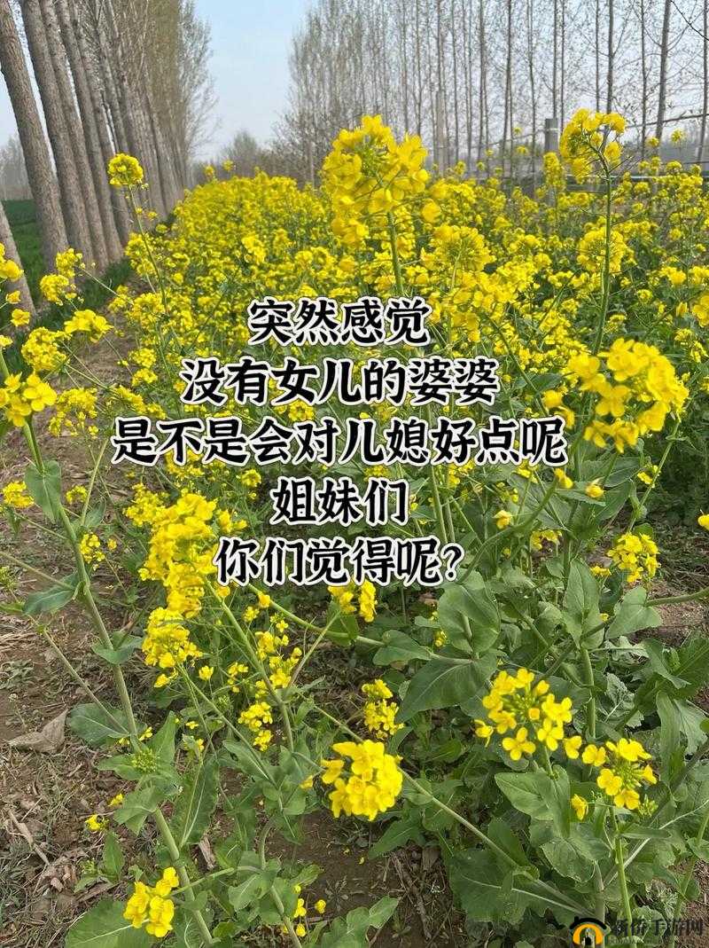 老八和他的三个儿媳妇的故事：家庭伦理剧还是网络热点？