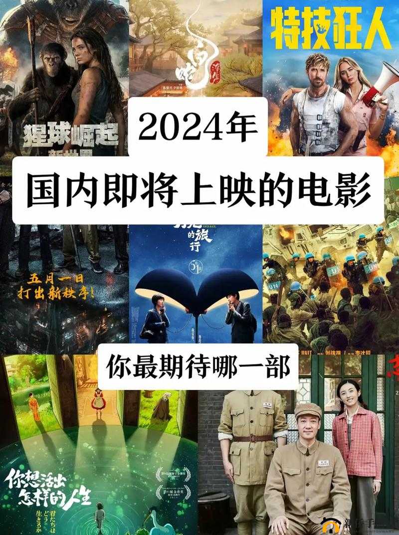 免费网站看电影和电视哪个好2024 年最全推荐：不容错过的观影指南