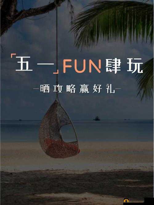 51fun 怎么打开：探寻其开启的正确方法与步骤