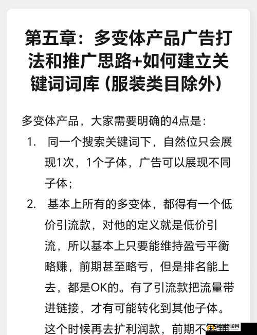 策略制胜，荣耀加冕，深度解析成功背后的策略与荣耀之路