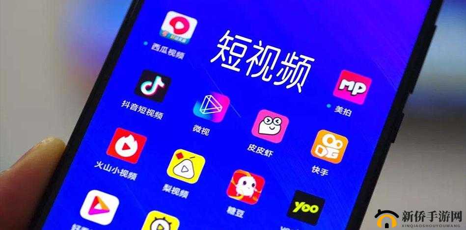 成品短视频 app 软件网站：带你领略精彩短视频世界