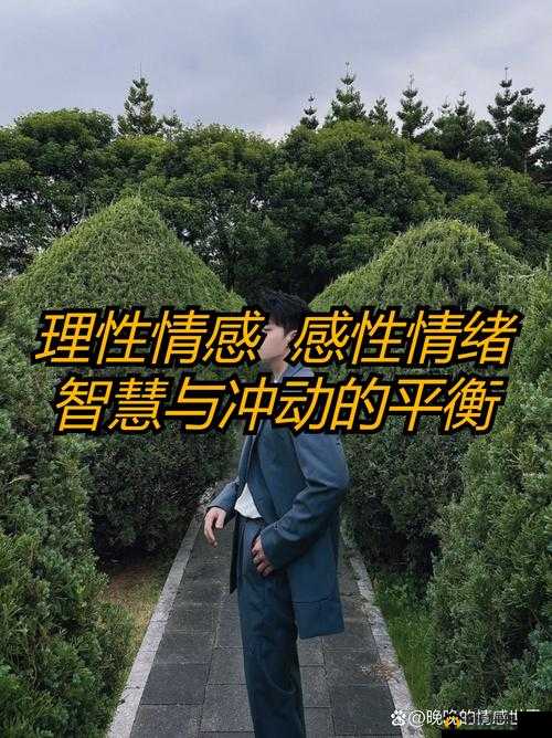 夫妻两人感性和理性关系：探寻爱情中的平衡智慧