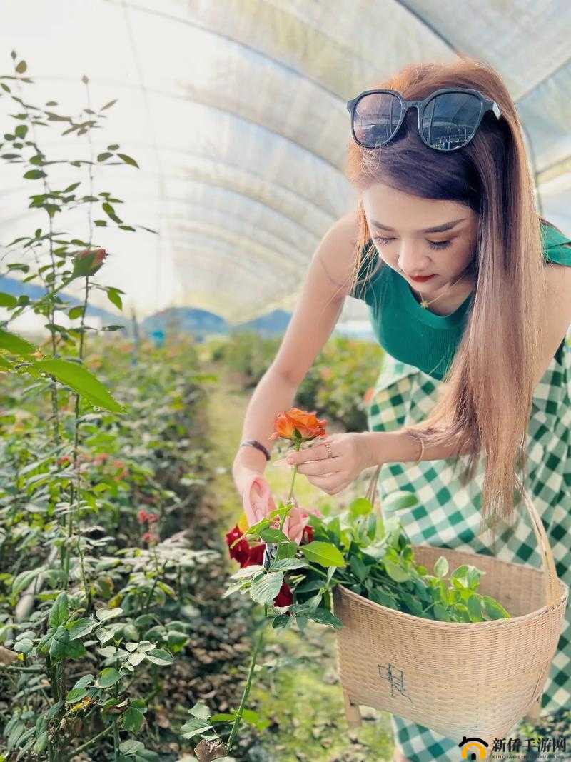 摘花处破女出血 69XX：探讨性与伦理的边界