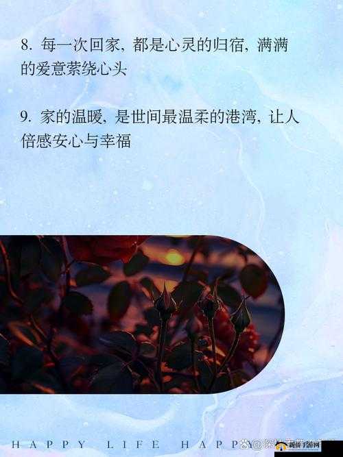 赵丽雅正搭公交车准备回家：踏上归家路途的期待与憧憬