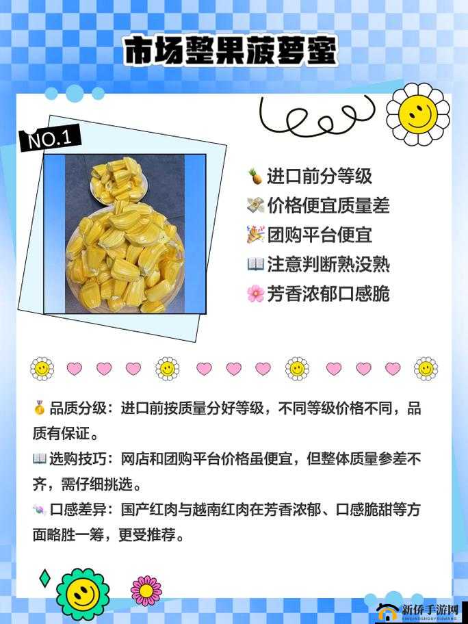 菠萝蜜一线二线三线品牌全解析：深入了解品牌差异与特点