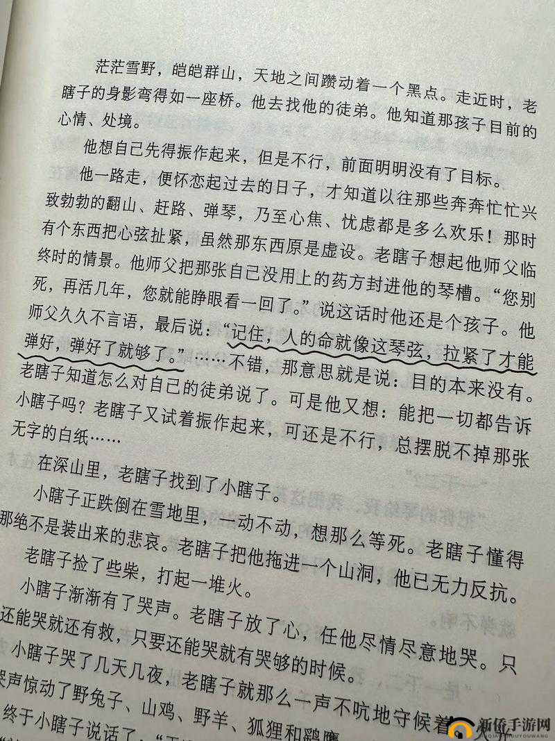 公交车里抓着摇曳的手环诗情：在摇晃中感受生活的节奏