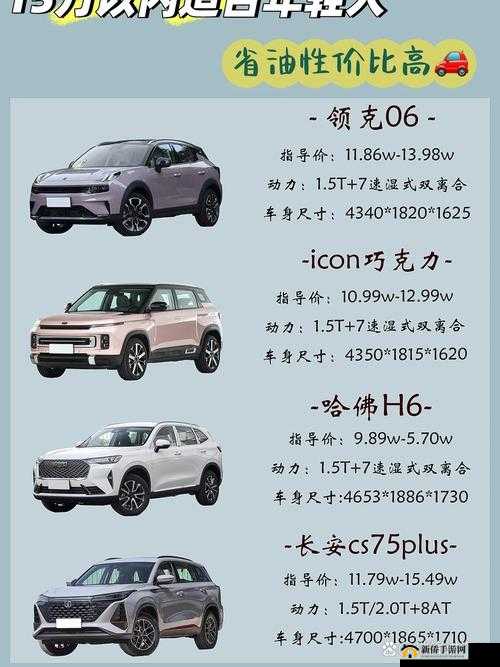 497799 欧洲版国产 SUV 特点全解析