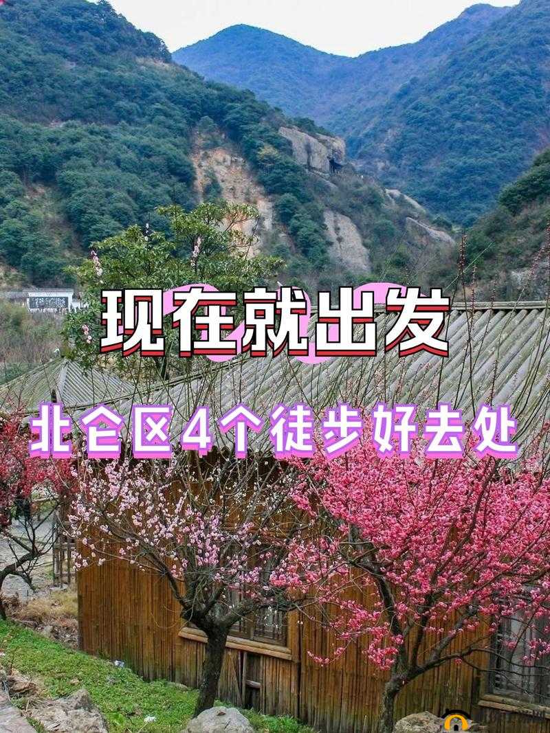 精品一二：探寻独特魅力 领略非凡品质的宝藏之旅