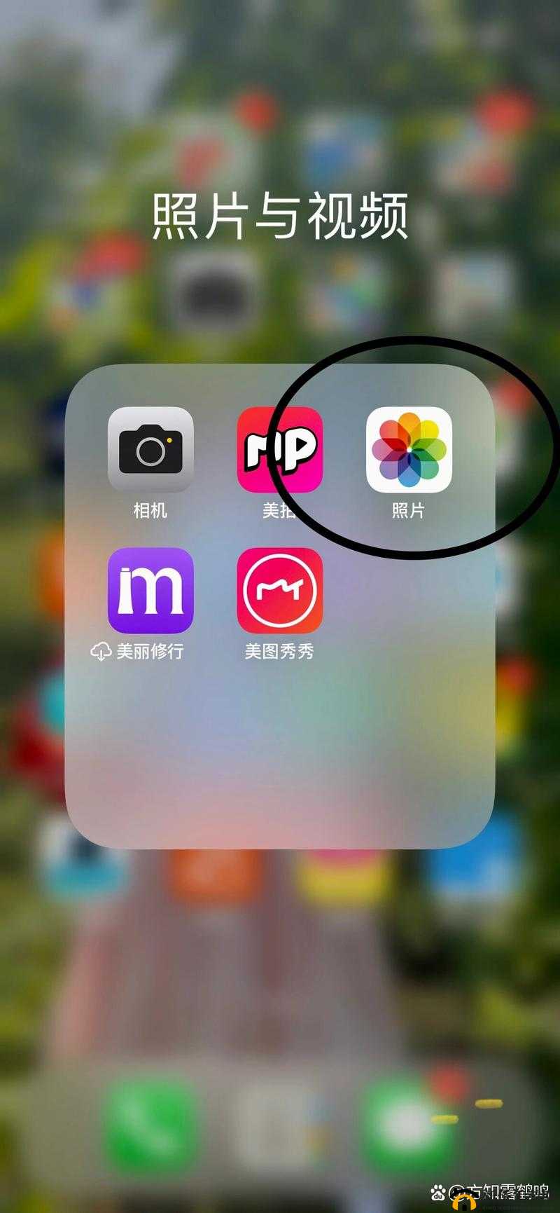 成品人短视频 APP 推荐苹果手机：为何它是最佳选择