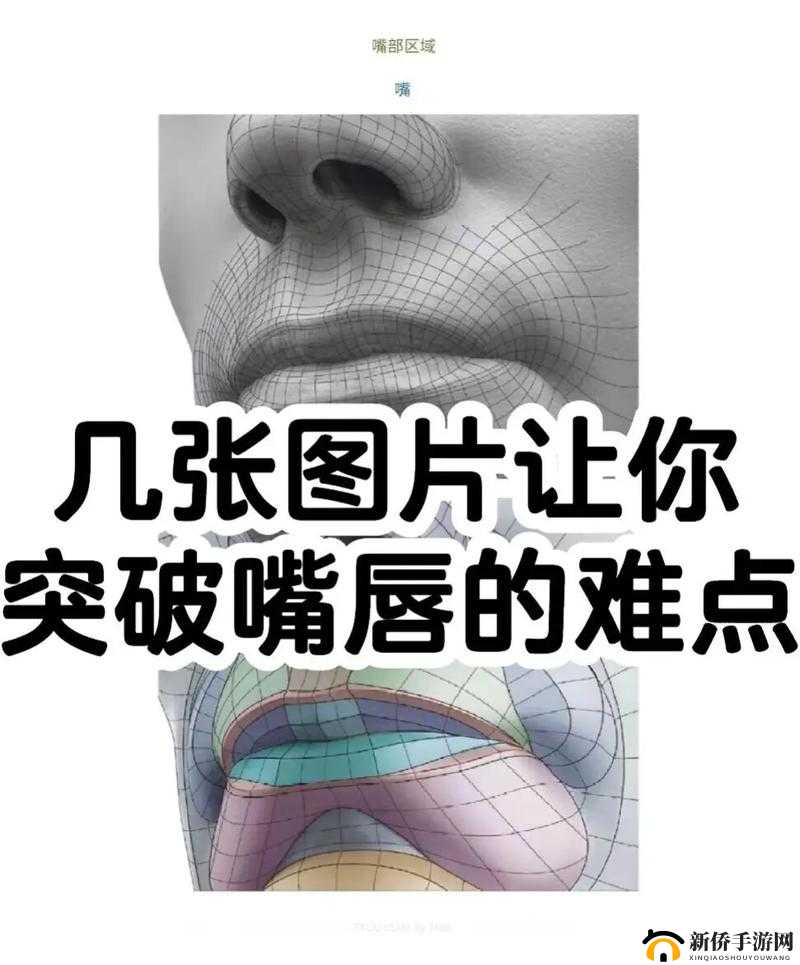 一个上面一个下面嘴巴：关于其独特构造与功能的详细探讨