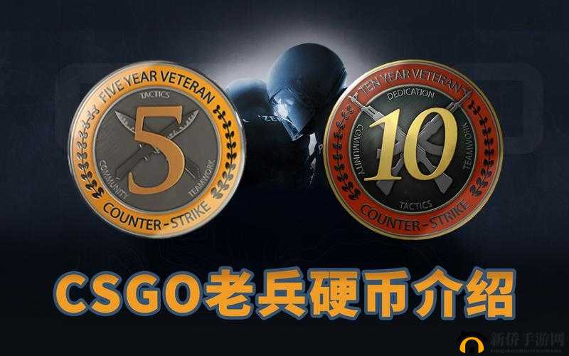 CSGO 十周年生日硬币怎么获得：详细攻略与指南