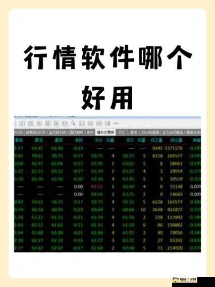 免费行情软件网站下载大全：各类优质行情软件一网打尽