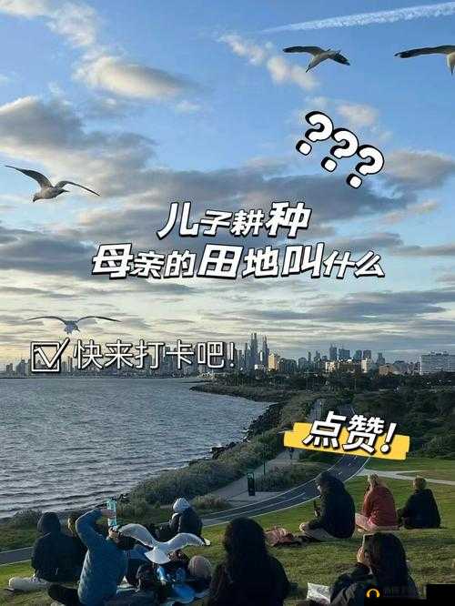 儿子替母亲耕种田地：反哺与责任的传承