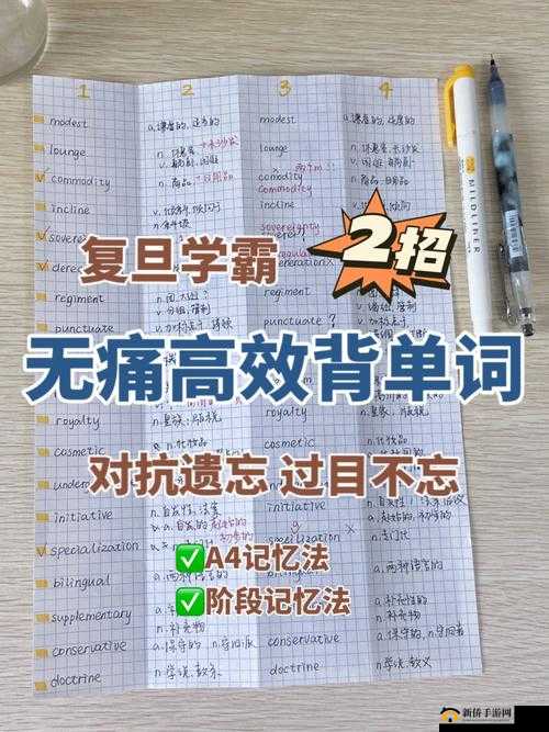 坐在学霸的鸡上背单词双楠：独特高效的学习方式探索