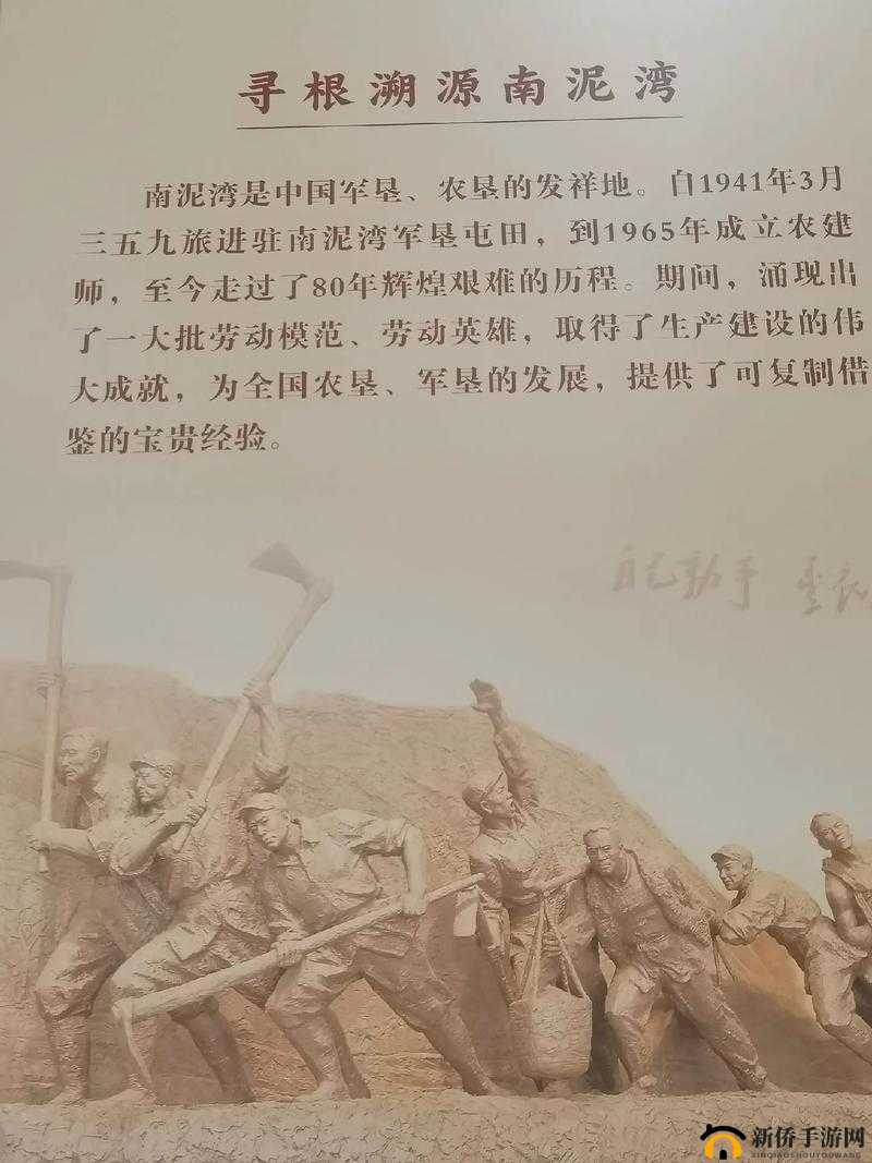 耕耘大婶的肥沃的土地：关于这片土地的故事与情怀