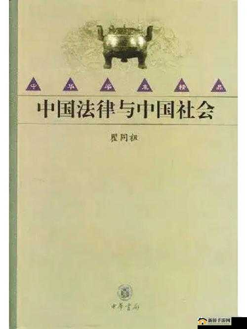 母与子性之间的可行性与必要性：伦理、法律与人性的探讨