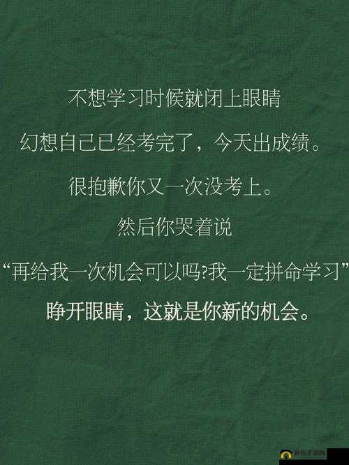 考试不好：不想当坐便器，就赶紧去学习