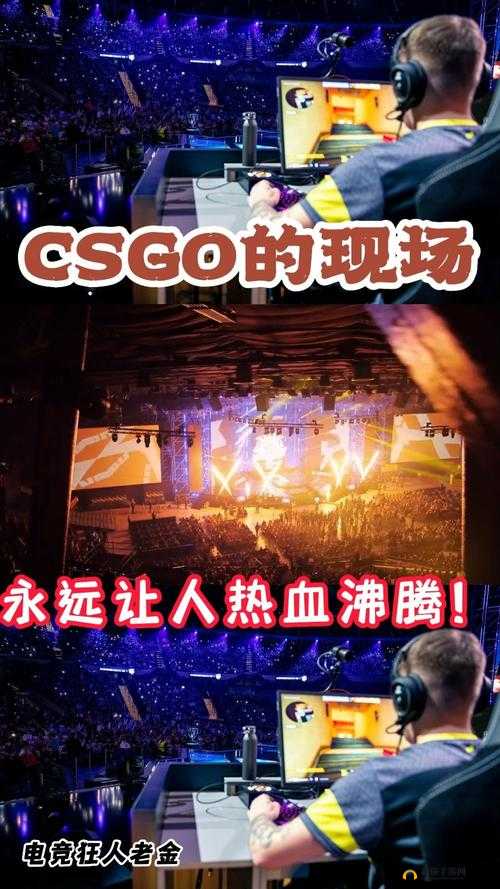 csgo 暴躁狂人高清大片：一部让你热血沸腾的精彩巨作